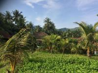 Cama en habitación compartida mixta de 4 camas