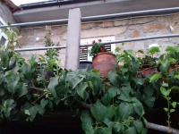 Casinha de Lamares - B&B Vila Real