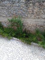 Apartment Beautiful Holiday - B&B Mostar