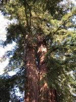 La villa rochette - B&B Forges-les-Bains