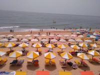 Must Over the Sea - B&B Armação de Pêra