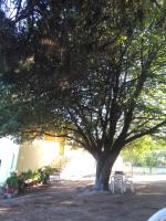 Martha's Villa - Chambres d’hôtes
