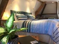 Superior Kamer met Kingsize Bed
