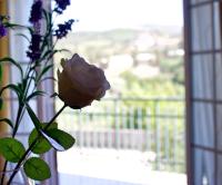 Casa do Olival - B&B