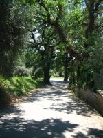 Appartamento Bella Vista - Bed and Breakfast Assisi