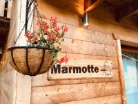 Chalet Marmotte M3 garden apartment for 8 - B&B Morzine