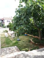 Studio Apartman Splash - Chambres d’hôtes Pjescana uvala