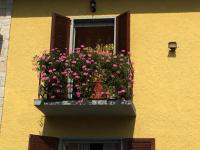 Villa Marilena - B&B