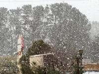 ALPINE COUNTRY MOTEL plus FREE COFFEE - B&B