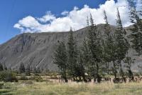 Casafranca - B&B Ollantaytambo