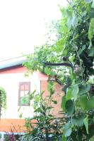 Dreibettzimmer mit Gartenblick