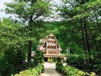 Pension Casa Vanatorilor - B&B Băile Olăneşti