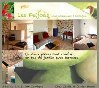 Apartamento FeÏjoas 