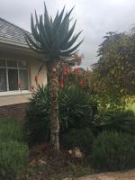 Gibson Place - B&B
