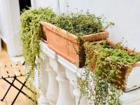 Chambre Familiale avec Terrasse