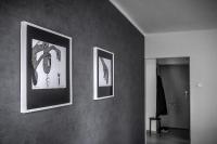 B&B Bielsko-Biała - Art Apartament - Bed and Breakfast Bielsko-Biała