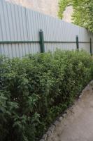 Riverside - B&B Khorugh