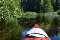 Domek Młodości z ogrodem - B&B