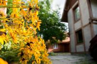 ekoLOKUM - kameralnie, blisko centrum - Bed and Breakfast Ostróda