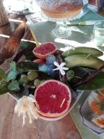 Villa le tre Dame B&B - B&B Battipaglia