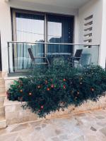Apartmani DAR DJUROVIC - Ferienwohnung Dobra Voda