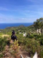 Hacienda Ses Caletes - B&B