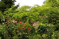 Mátyás Panzió - Ferienwohnung Szegedin