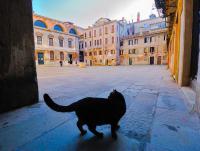 Ca' Perdon Apartment - B&B Venezia