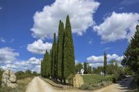 Casale Cipressi - Bed and Breakfast