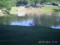 Oak Grove Apartment Hattiesburg, MS - B&B Hattiesburg