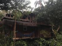 Pousada Rainforest House - Ilha Grande - B&B Abraão