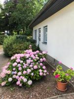 Ostsee Apartments Salzhaff - Ferienwohnung Zweedorf