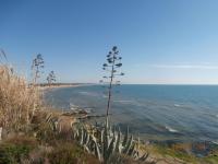 VILLA FIOR D'OLEANDRO - Ferienwohnung Santa Maria del Focallo