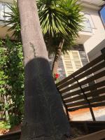 A casa di Flavia - B&B