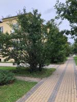 AquaGate Jurmala - Chambres d’hôtes Jurmala