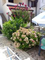 Stana Apartment - Bed and Breakfast Poreč