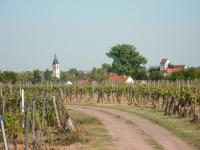 B&B Weingarten - Ferienwohnung Südpfalz - Bed and Breakfast Weingarten