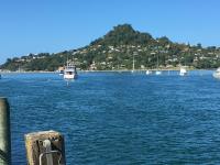 Pretty on Paku, Tairua - Cottage - B&B Tairua