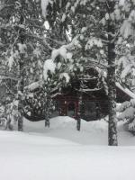 Reclusive Moose Cabins - B&B