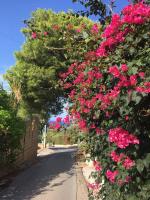 Casa al Bragone - Bed and Breakfast