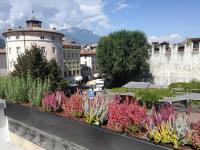 TrentoApartment - Bed and Breakfast