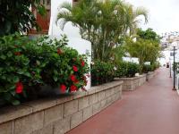 Heated Pool Sea view Speedy WiFi - B&B Adeje