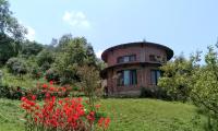 B&B Chaukori - The Misty Mountains - Bed and Breakfast Chaukori