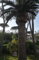 VILLA ISCLA maison d'hôtes - B&B Ischia