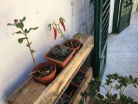 Habitación Doble con balcón 