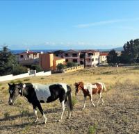 Casa Vacanze residence Cavour - B&B Valledoria