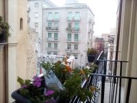 Cinghiale Bianco - B&B