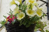 No. 2 Smith Cottages - B&B Langport