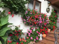 Haus Katharina - Bed and Breakfast Wagrain
