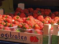 De Spreekkamer - Ferienwohnung Hoogstraten